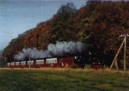 Baederbahn_Molli_Lindenallee_Doberan_Heiligendamm